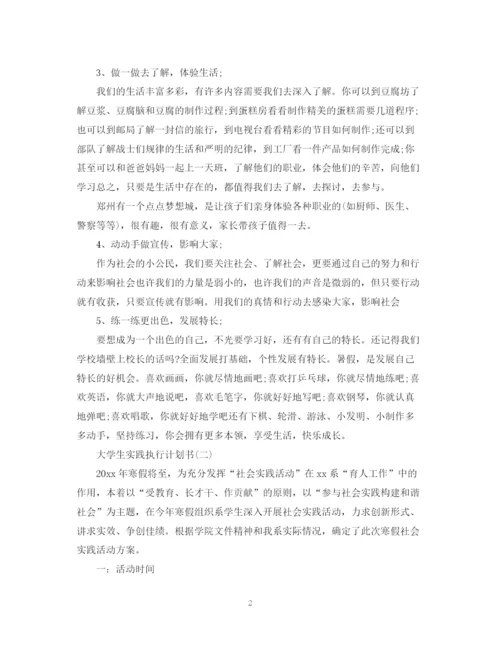 精编之大学生实践执行计划书.docx