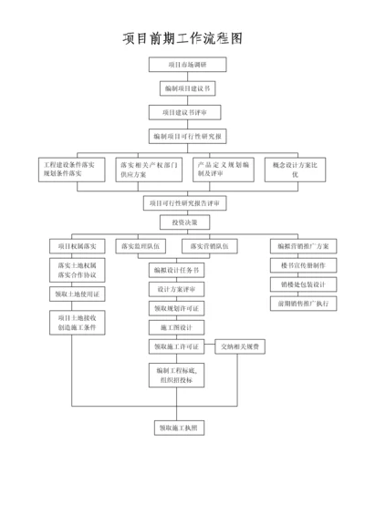 项目前期工作流程图.docx