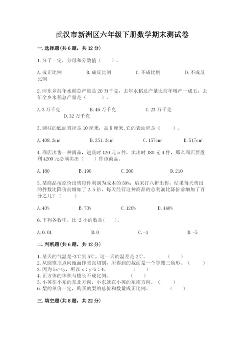 武汉市新洲区六年级下册数学期末测试卷精选.docx