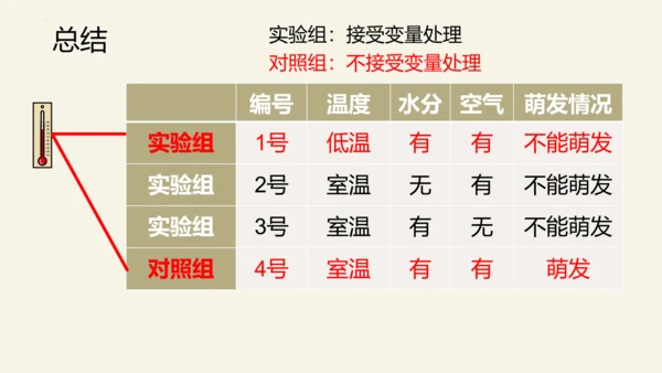 3.2.1 种子的萌发-2023-2024学年七年级生物上册优质课件（人教版）(共28张PPT)