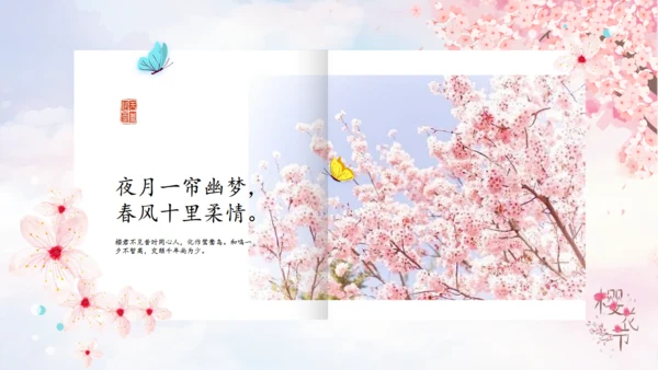 樱花树下浪漫樱花节活动策划通用PPT模板
