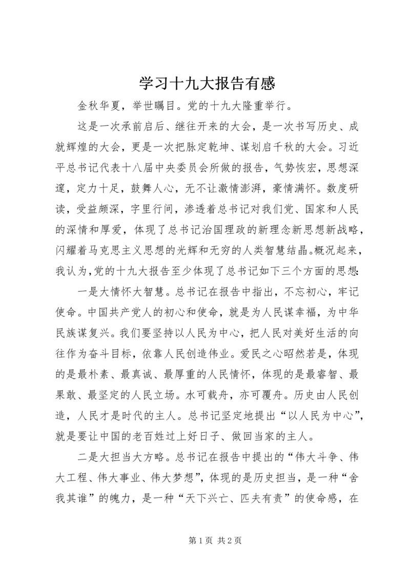 学习十九大报告有感 (6).docx