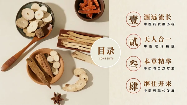棕色实景简约风中医药传统文化科普介绍PPT模板