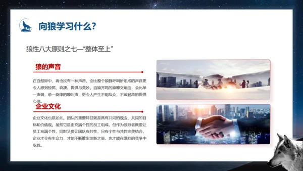 如何打造狼性团队培训狼文件通用PPT模板