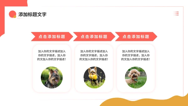 宠物健康护理，狗狗通用PPT模板