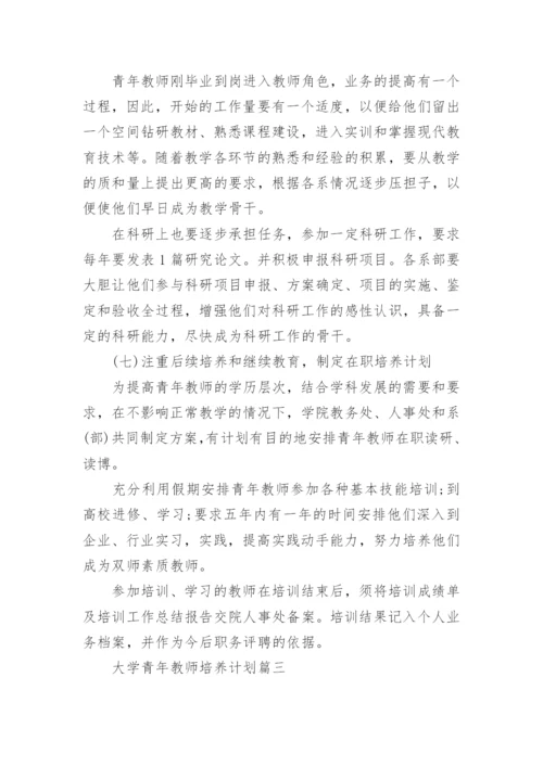 大学青年教师培养计划_1.docx