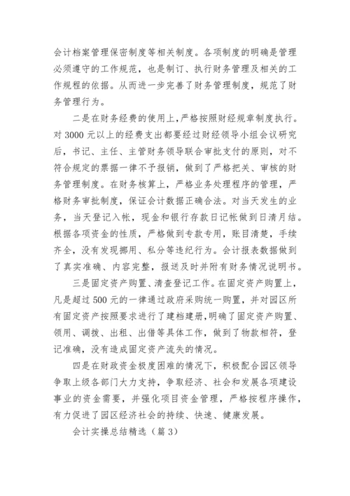 会计实操总结精选报告.docx