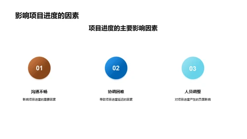 项目进展与未来规划