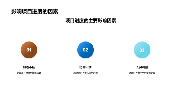 项目进展与未来规划