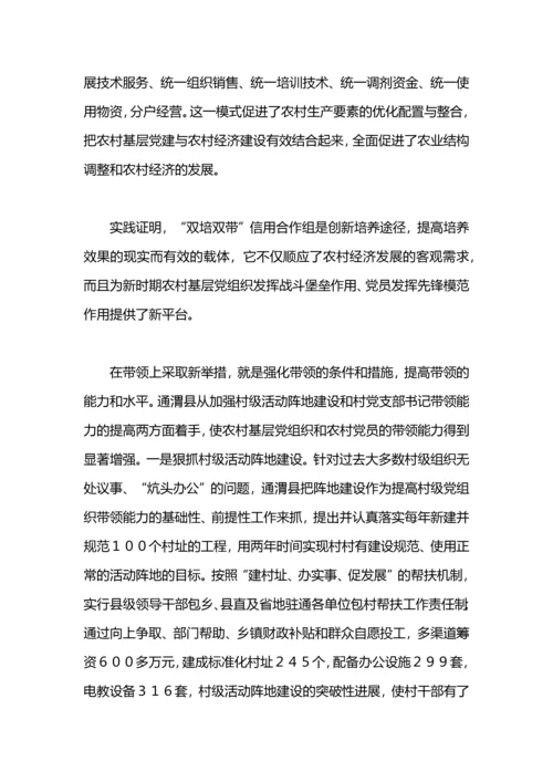 农村党建工作思路.docx