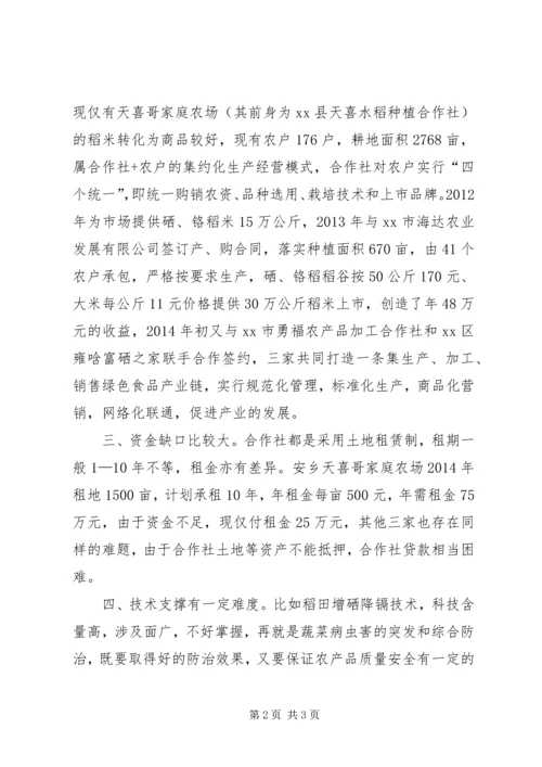 县工商资本下乡投入种植业的情况调查汇报.docx