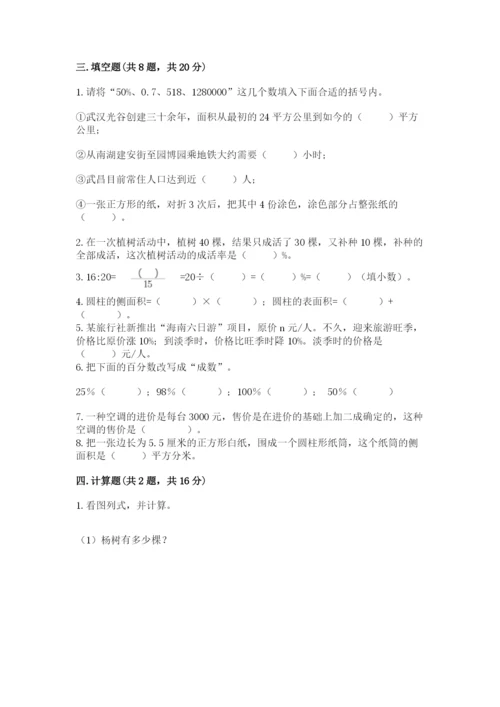 苏教版六年级下册数学期中测试卷含完整答案（夺冠）.docx