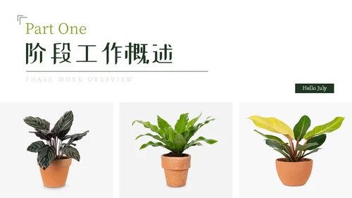 七月你好芭蕉叶背景通用PPT模板
