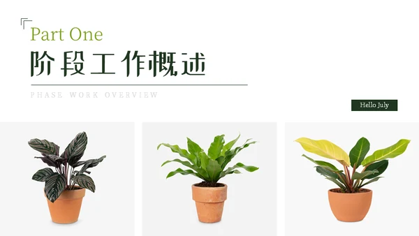 七月你好芭蕉叶背景通用PPT模板