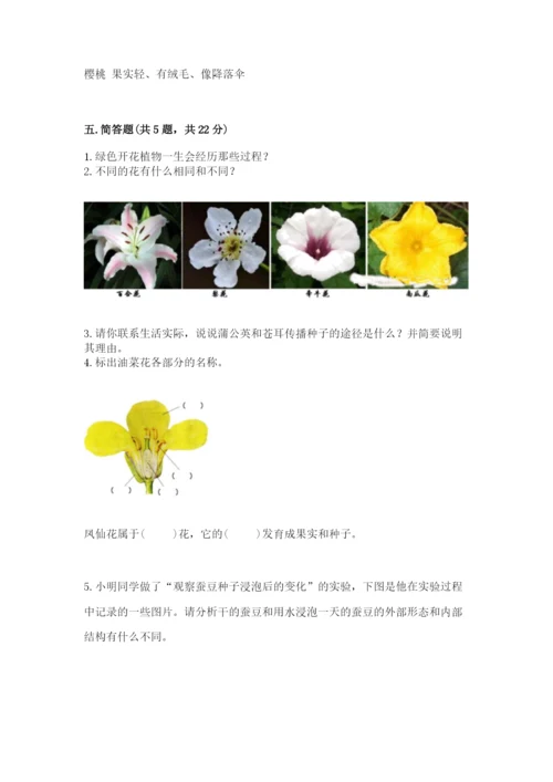 科学四年级下册第一单元《植物的生长变化》测试卷带答案（研优卷）.docx