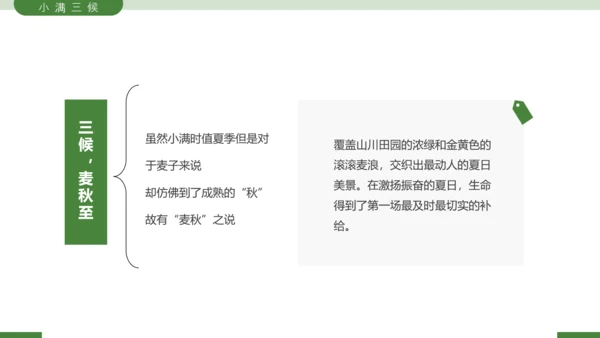 二十四节气之小满节气介绍