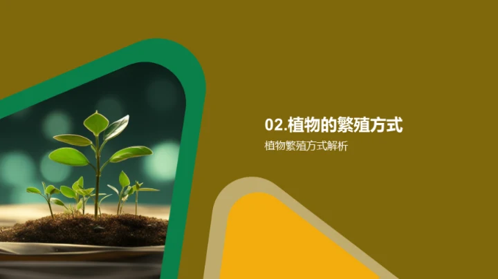 探索植物的生命旅程