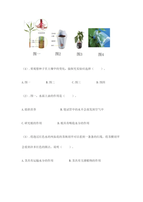 科学四年级下册第一单元植物的生长变化测试卷精品【名校卷】.docx