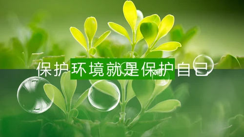 绿色生态森林湿地环境保护植树造林PPT模板