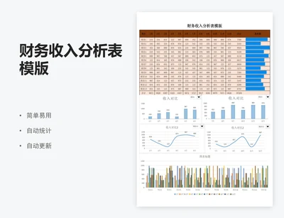财务收入分析表模版