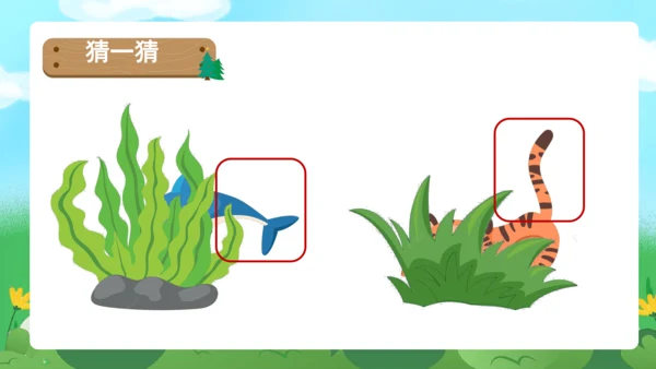 课文6《比尾巴》（教学课件）