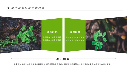 唯美绿色植物发芽植物生长敬畏生命PPT模板