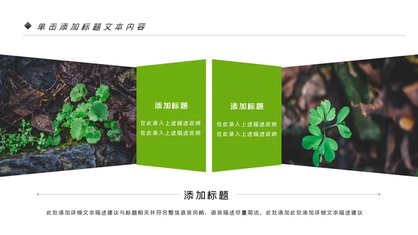 唯美绿色植物发芽植物生长敬畏生命PPT模板