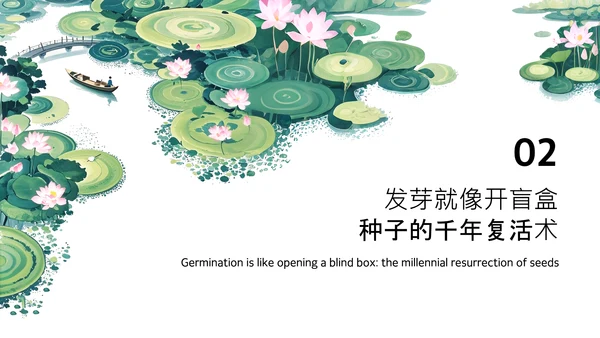 绿色简约插画中国风荷花科普介绍PPT模板