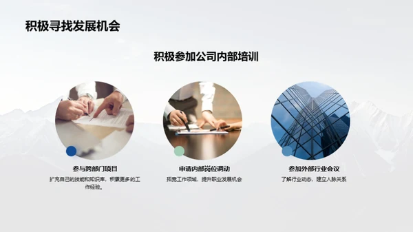 登峰造极：职业成长之路