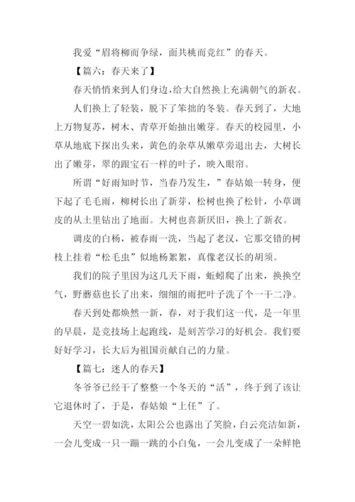 春天的风景作文300字.docx