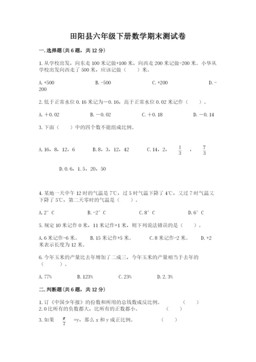 田阳县六年级下册数学期末测试卷附精品答案.docx