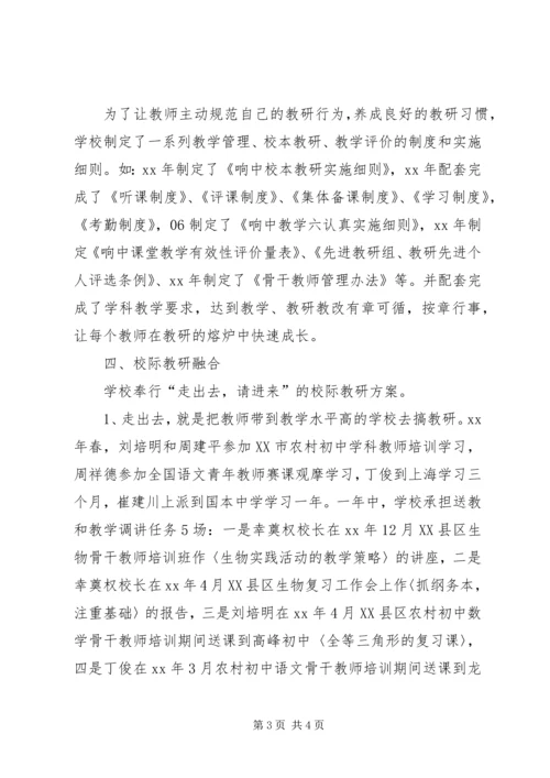 学校本教研工作自查报告.docx