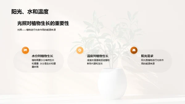 揭秘植物生长奇观