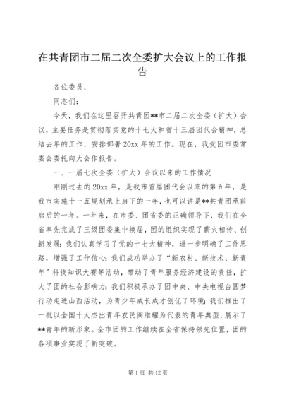 在共青团市二届二次全委扩大会议上的工作报告 (5).docx