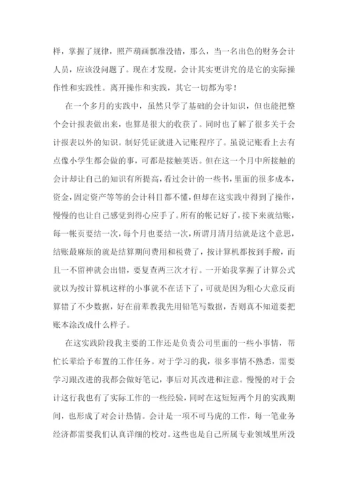 高校会计专业实践报告五篇.docx