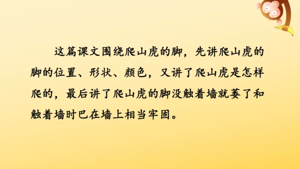 10 爬山虎的脚   课件