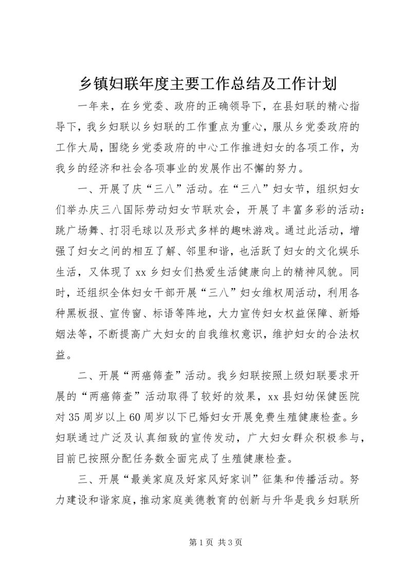 乡镇妇联年度主要工作总结及工作计划.docx