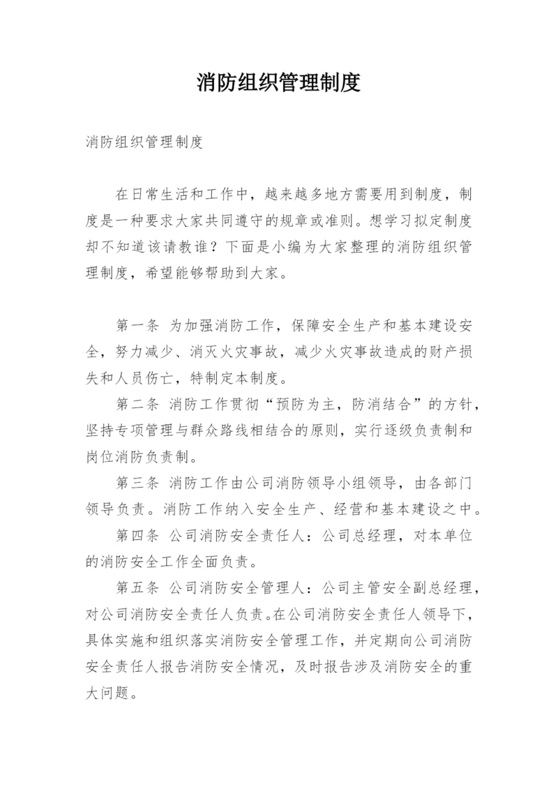 消防组织管理制度.docx