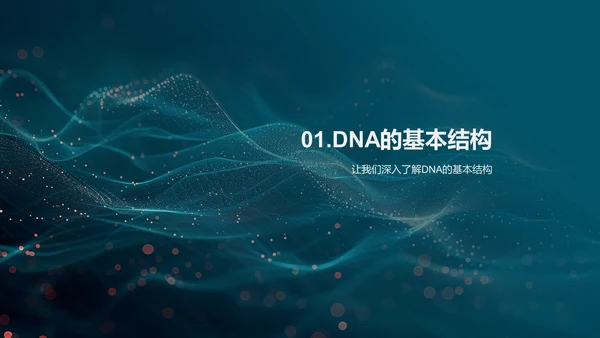 DNA结构与功能讲解PPT模板