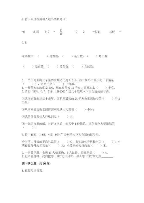 河南省平顶山市六年级下册数学期末测试卷含答案（精练）.docx