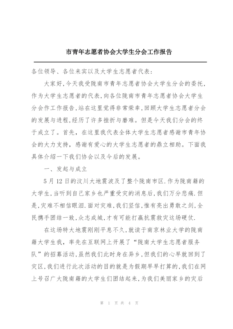 市青年志愿者协会大学生分会工作报告.docx