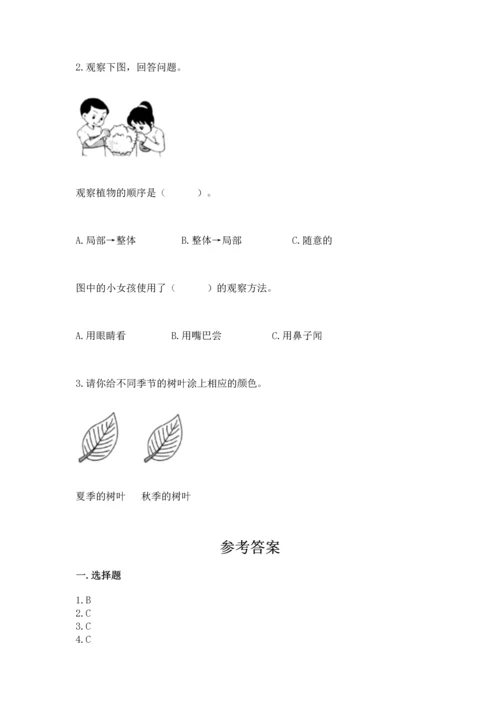 教科版科学一年级上册第一单元《植物》测试卷及参考答案【达标题】.docx