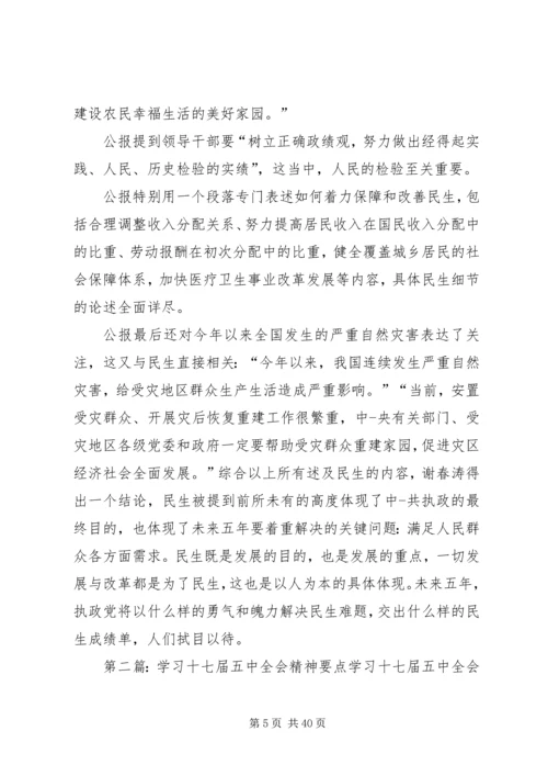 学习十七届五中全会精神要点.docx