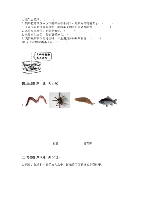 教科版一年级下册科学期末测试卷（达标题）.docx