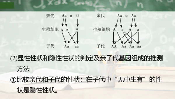 第2章 生物的遗传与变异（复习课件）-八年级生物下册章末知识总结 检测卷（人教版）(共19张PPT)