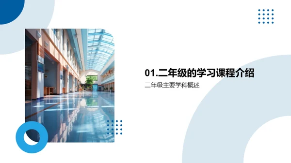 二年级的学习探索