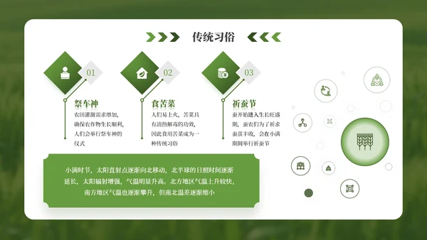 绿色小满节气介绍通用模板