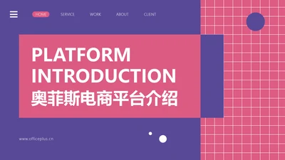 简约风跨境电商平台宣传介绍PPT