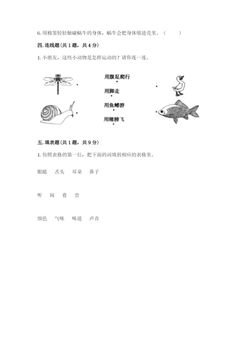 教科版一年级下册科学期末测试卷（历年真题）.docx