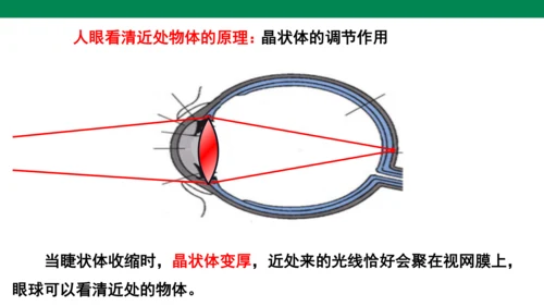 人教版第五章透镜及其应用第4节眼睛和眼镜 课件 (共23张PPT)